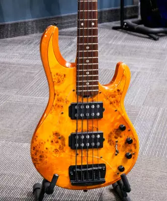Store Special Product - Sterling by Music Man - StingRay Ray35HH 5-String Bass - Amber